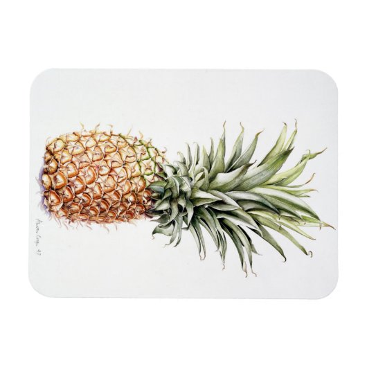 Ananas 1997 magneet (Horizontaal)
