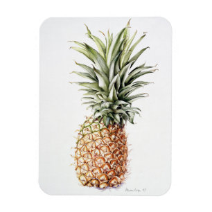 Ananas 1997 magneet