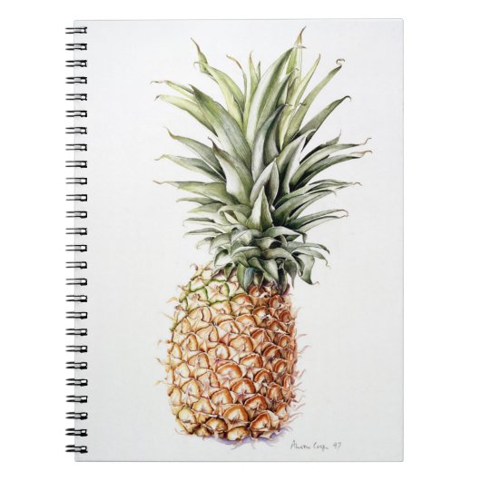 Ananas 1997 notitieboek (Voorkant)
