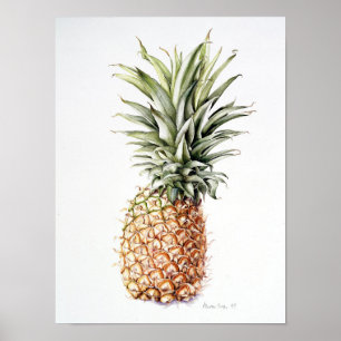 Ananas 1997 poster