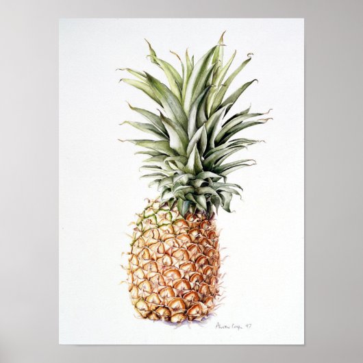 Ananas 1997 poster (Voorkant)