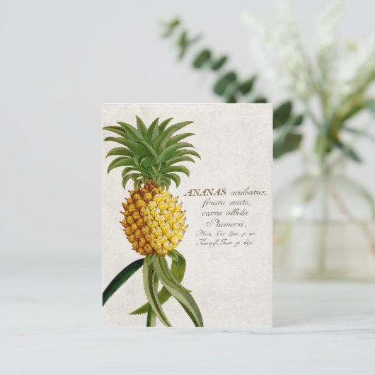  ananas briefkaart (Staand voorkant)