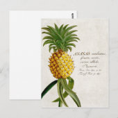  ananas briefkaart (Voorkant / Achterkant)