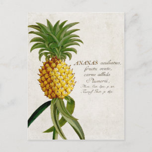  ananas briefkaart