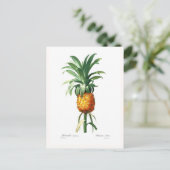 ananas briefkaart (Staand voorkant)