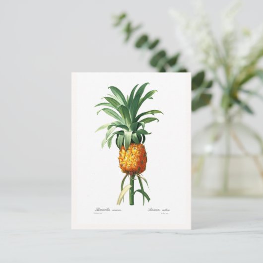 ananas briefkaart (Staand voorkant)