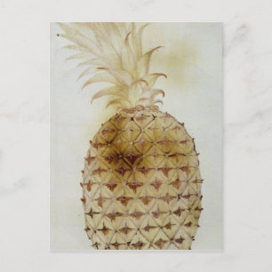 ananas briefkaart
