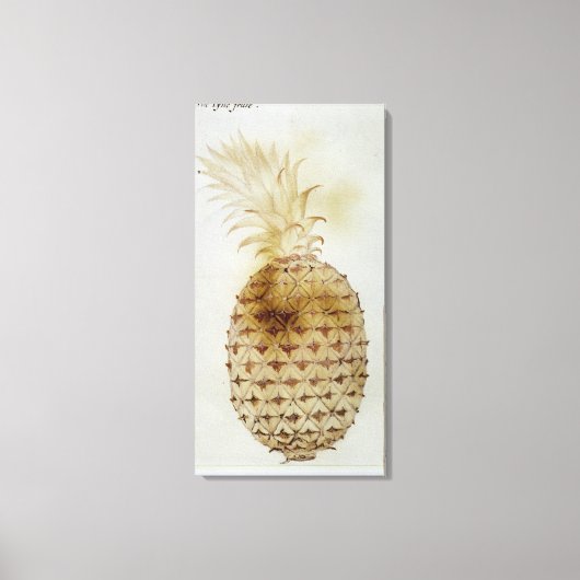ananas canvas afdruk (Voorkant)