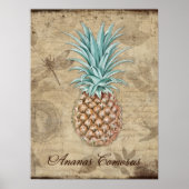Ananas Comosus - Natuurgeschiedenis Poster (Voorkant)