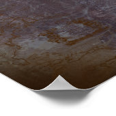 Ananas comosus poster (Hoek)