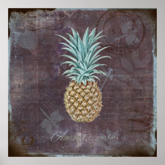 Ananas comosus poster