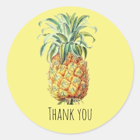 ananas Dank u Klassieke Sticker (Voorkant)