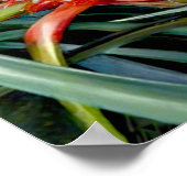 Ananas door Marianne North - Exotisch landschap Poster (Hoek)