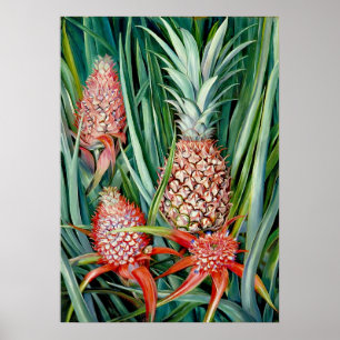 Ananas door Marianne North - Exotisch landschap Poster