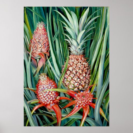 Ananas door Marianne North - Exotisch landschap Poster (Voorkant)