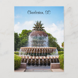 Ananas fontein Charleston, SC Briefkaart