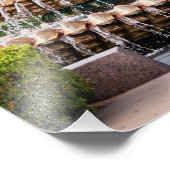 Ananas fontein Charleston, SC Foto Afdruk (Hoek)