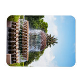 Ananas fontein Charleston, SC Magneet (Horizontaal)