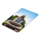 Ananas fontein Charleston, SC Magneet (Linkerzijde)