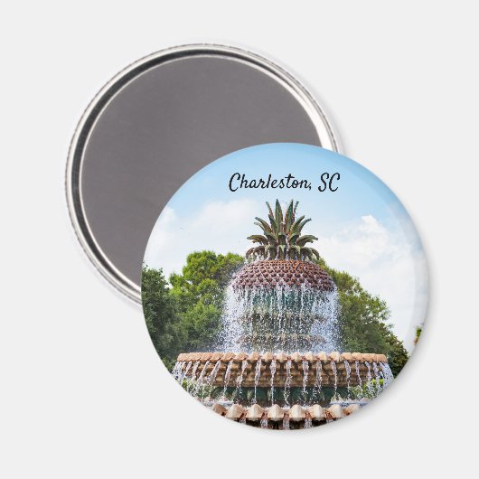 Ananas fontein Charleston, SC Magneet (Voorkant / Achterkant)