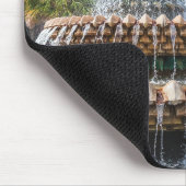 Ananas fontein Charleston, SC Muismat (Hoek)