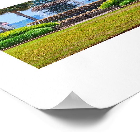 Ananas fontein Charleston, SC Poster (Hoek)