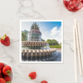 Ananas fontein Charleston, SC Servet (Insitu)