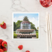 Ananas fontein Charleston, SC Servetten (Insitu)