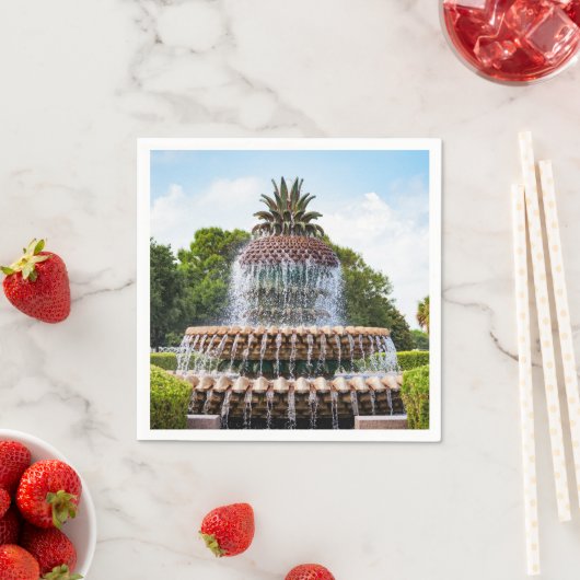 Ananas fontein Charleston, SC Servetten (Insitu)