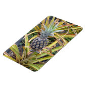 Ananas fotomagneet magneet (Linkerzijde)