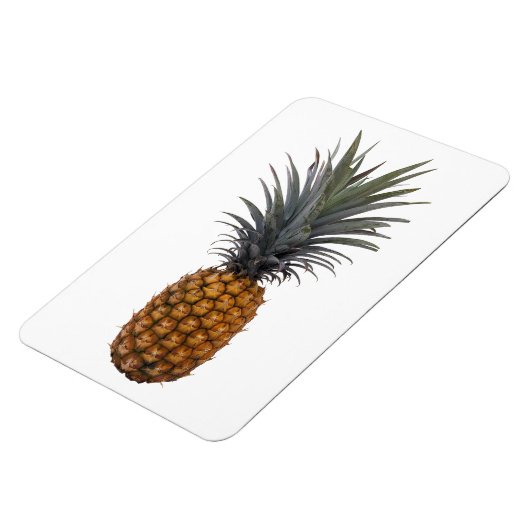 Ananas fotomagneet magneet (Linkerzijde)