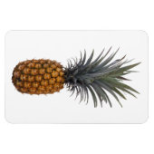 Ananas fotomagneet magneet (Horizontaal)