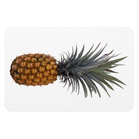 Ananas fotomagneet magneet (Horizontaal)
