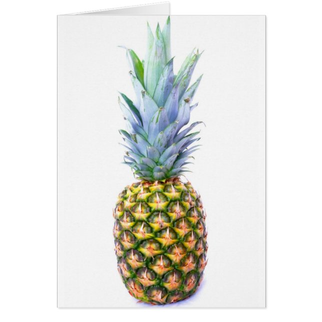 Ananas Fruit Strand Dessert Kleurrijk Tropisch (Voorkant)