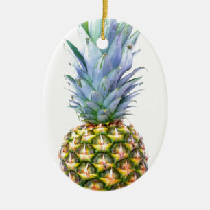 Ananas Fruit Strand Dessert Kleurrijk Tropisch Keramisch Ornament