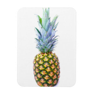 Ananas Fruit Strand Dessert Kleurrijk Tropisch Magneet
