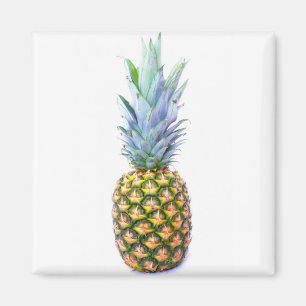 Ananas Fruit Strand Dessert Kleurrijk Tropisch Magneet