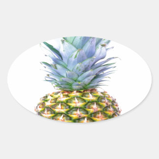 Ananas Fruit Strand Dessert Kleurrijk Tropisch Ovale Sticker