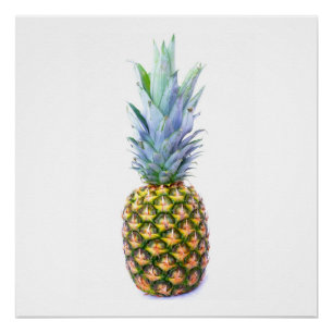 Ananas Fruit Strand Dessert Kleurrijk Tropisch Poster