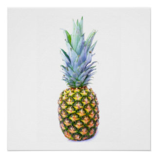 Ananas Fruit Strand Dessert Kleurrijk Tropisch Poster