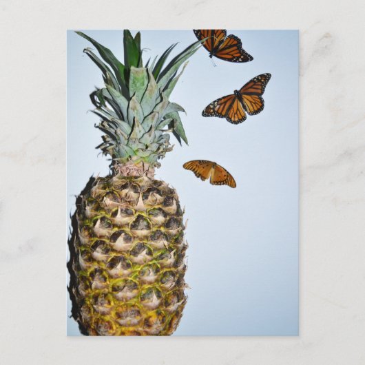 Ananas Fun Briefkaart (Voorkant)