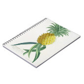 Ananas gegraveerd door Johann Jakob Haid (1704-67) Notitieboek (Linkerzijde)