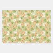 Ananas gooien in Sinaasappel, blauw en groen Inpakpapier Vel (Voorkant 2)