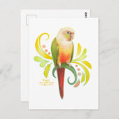 Ananas Groene Kaas Conure Briefkaart (Voorkant / Achterkant)
