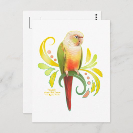 Ananas Groene Kaas Conure Briefkaart (Voorkant / Achterkant)