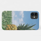 Ananas in een veld Case-Mate iPhone case (Achterkant (horizontaal))
