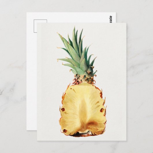 Ananas in halve Waterverf Briefkaart (Voorkant / Achterkant)