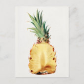 Ananas in halve Waterverf Briefkaart (Voorkant)