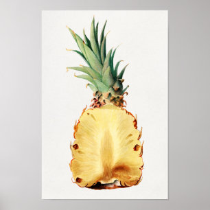 Ananas in halve Waterverf Poster