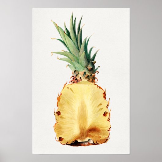 Ananas in halve Waterverf Poster (Voorkant)